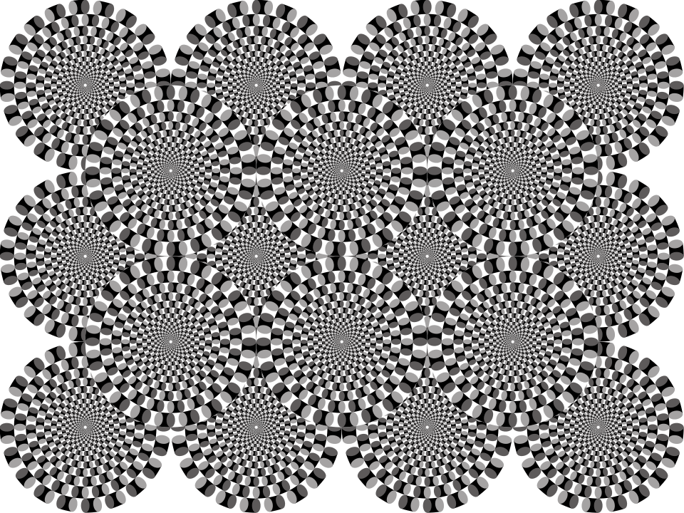 snakes black and white illusion